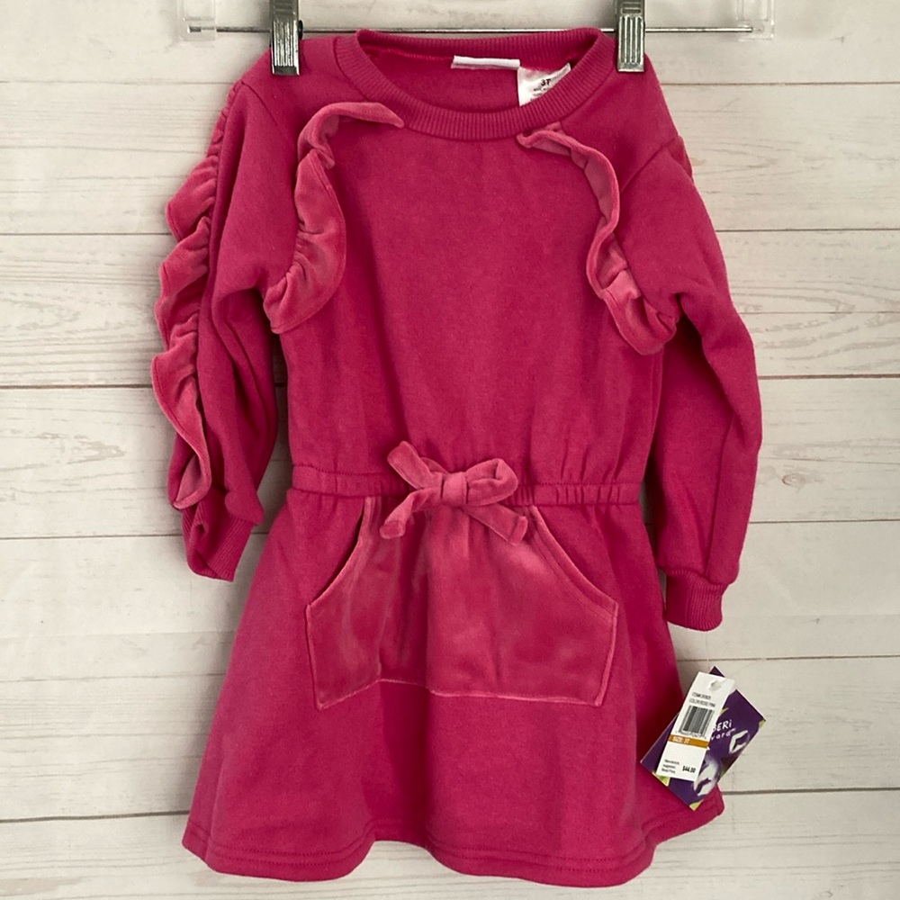 Blueberi boulevard Size 3T Girls Pink Fleece Long Sleeve Barbie-Core Dress
